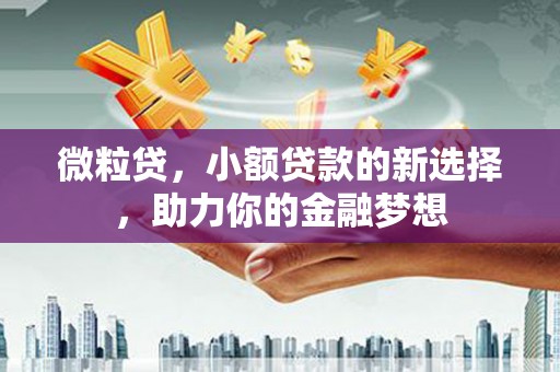 凉城微粒贷，小额贷款的新选择，助力你的金融梦想