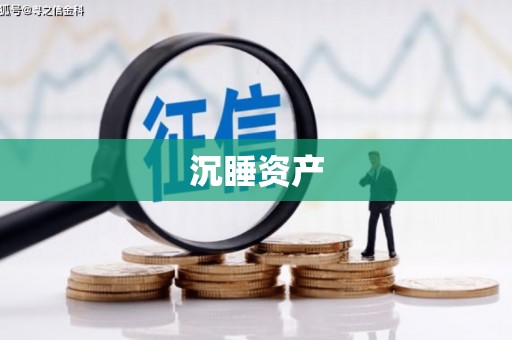 雁山沉睡资产