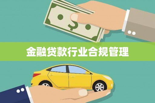 丰滨金融贷款行业合规管理