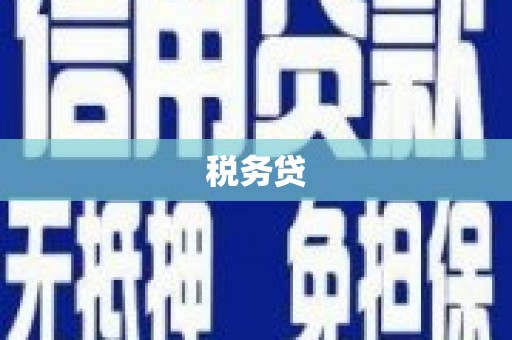 镇巴税务贷
