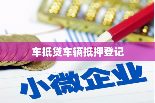 南川车抵贷车辆抵押登记