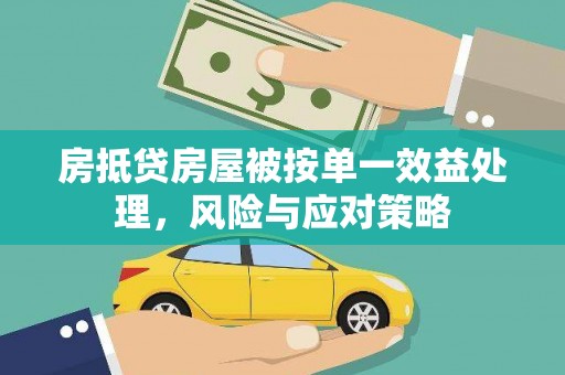 贵港房抵贷房屋被按单一效益处理，风险与应对策略