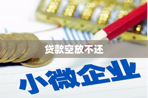凉城贷款空放不还
