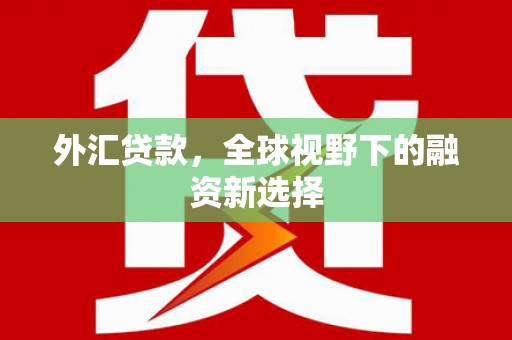 栾城外汇贷款，全球视野下的融资新选择