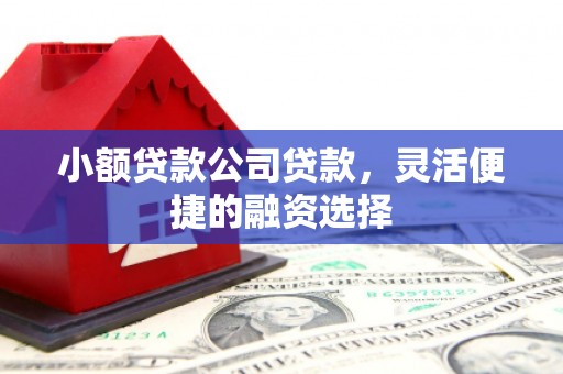 乌拉特前旗小额贷款公司贷款，灵活便捷的融资选择