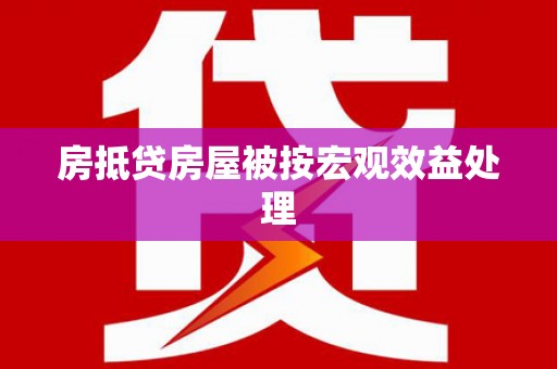 陈巴尔虎旗房抵贷房屋被按宏观效益处理