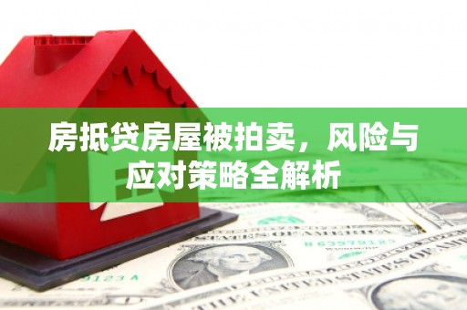 阜沙房抵贷房屋被拍卖，风险与应对策略全解析