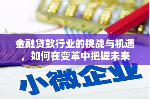 山阳金融贷款行业的挑战与机遇，如何在变革中把握未来