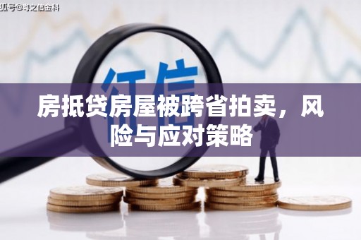 中堂房抵贷房屋被跨省拍卖，风险与应对策略