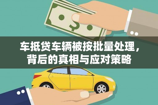 金湖车抵贷车辆被按批量处理，背后的真相与应对策略