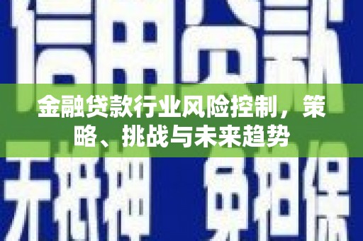 临川金融贷款行业风险控制，策略、挑战与未来趋势