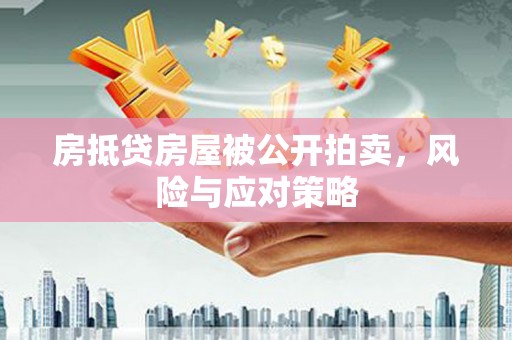 安远房抵贷房屋被公开拍卖，风险与应对策略