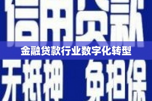 泗阳金融贷款行业数字化转型