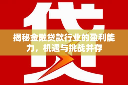 碌曲揭秘金融贷款行业的盈利能力，机遇与挑战并存