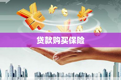 博尔塔拉贷款购买保险