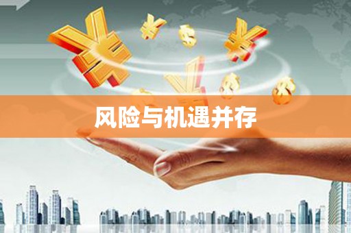 辛集风险与机遇并存