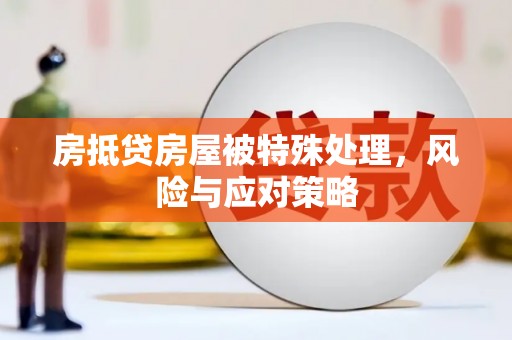 含山房抵贷房屋被特殊处理，风险与应对策略