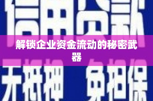 阿拉善左旗解锁企业资金流动的秘密武器