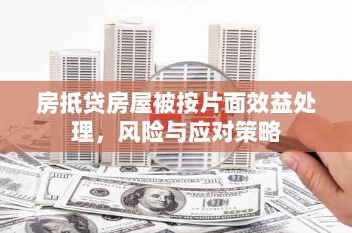 青田房抵贷房屋被按片面效益处理，风险与应对策略