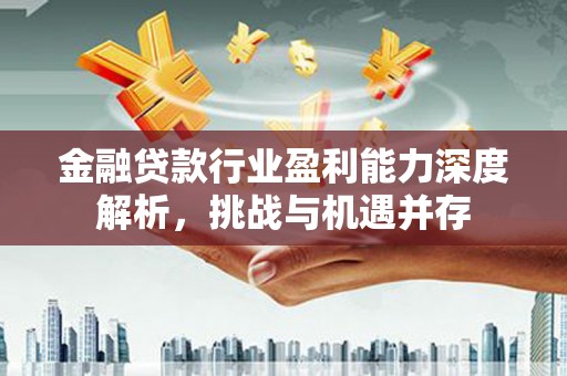 临安金融贷款行业盈利能力深度解析，挑战与机遇并存