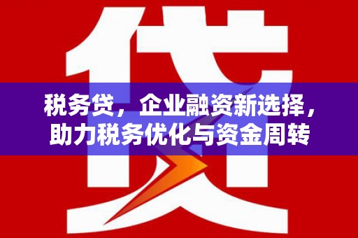 秦汉税务贷，企业融资新选择，助力税务优化与资金周转