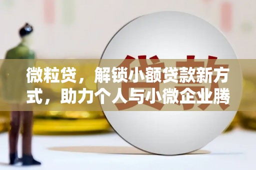 临安微粒贷，解锁小额贷款新方式，助力个人与小微企业腾飞