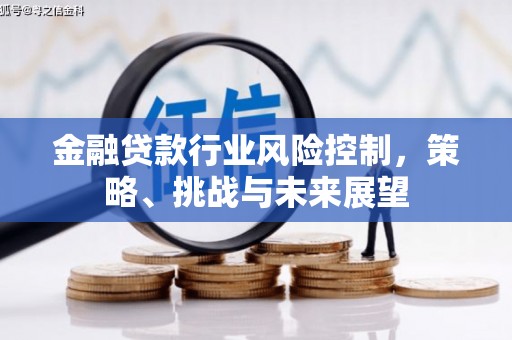 循化金融贷款行业风险控制，策略、挑战与未来展望