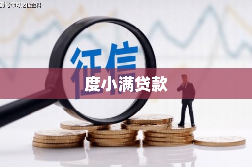 沭阳度小满贷款