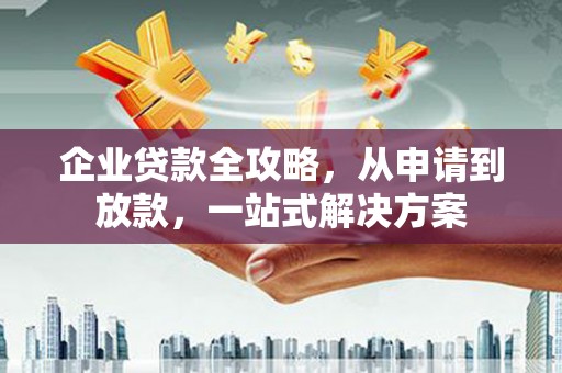 大堂企业贷款全攻略，从申请到放款，一站式解决方案
