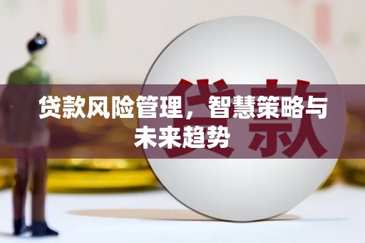 巴音郭楞贷款风险管理，智慧策略与未来趋势