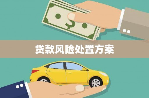 涪陵贷款风险处置方案