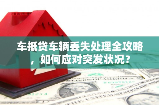 蓝田车抵贷车辆丢失处理全攻略，如何应对突发状况？