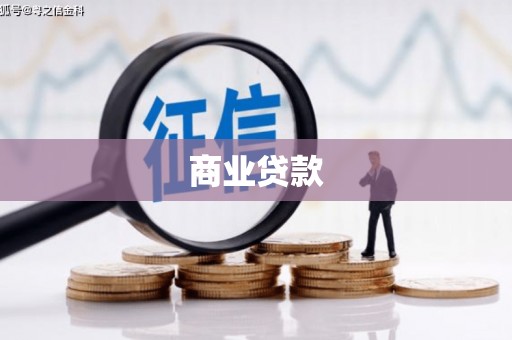 公安商业贷款