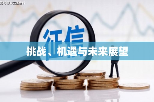 下陆挑战、机遇与未来展望