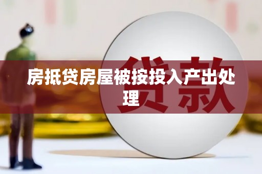 许昌房抵贷房屋被按投入产出处理