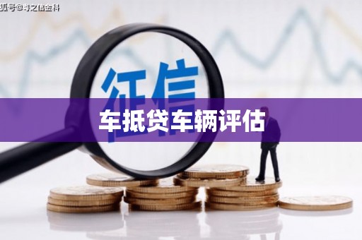亭湖车抵贷车辆评估