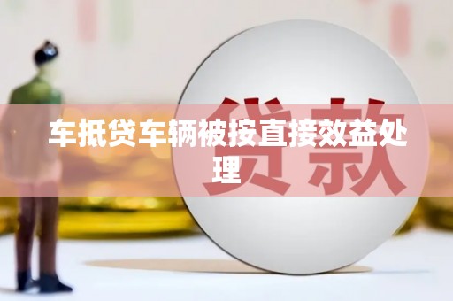 临武车抵贷车辆被按直接效益处理