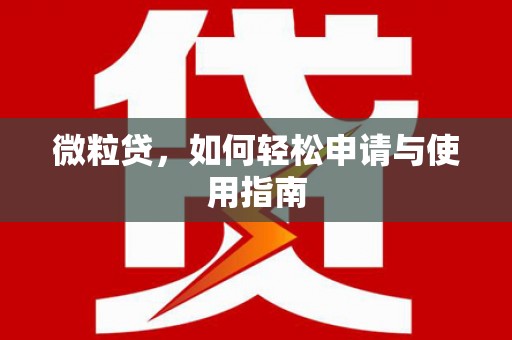 临武微粒贷，如何轻松申请与使用指南