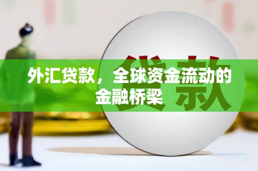 玛纳斯外汇贷款，全球资金流动的金融桥梁