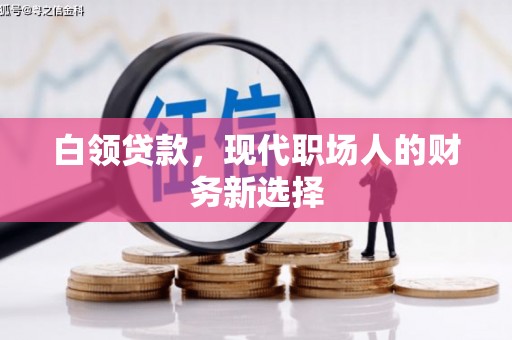 龙里白领贷款，现代职场人的财务新选择