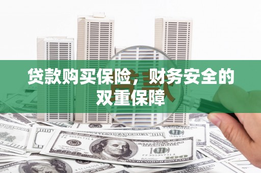 平陆贷款购买保险，财务安全的双重保障