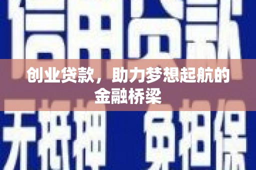 龙山创业贷款，助力梦想起航的金融桥梁