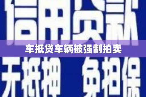 龙山车抵贷车辆被强制拍卖