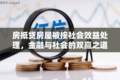 达孜房抵贷房屋被按社会效益处理，金融与社会的双赢之道