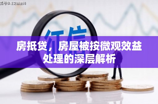 达孜房抵贷，房屋被按微观效益处理的深层解析