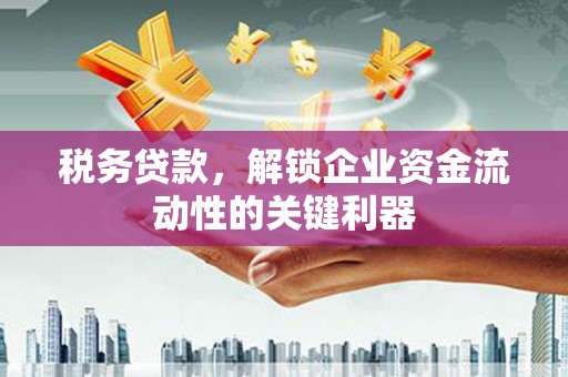 阜南税务贷款，解锁企业资金流动性的关键利器