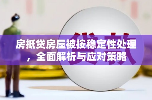 阜南房抵贷房屋被按稳定性处理，全面解析与应对策略