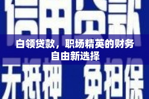 阜南白领贷款，职场精英的财务自由新选择