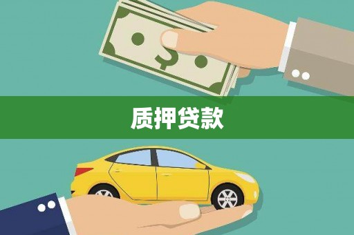温州质押贷款