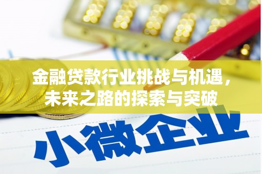 庐江金融贷款行业挑战与机遇，未来之路的探索与突破